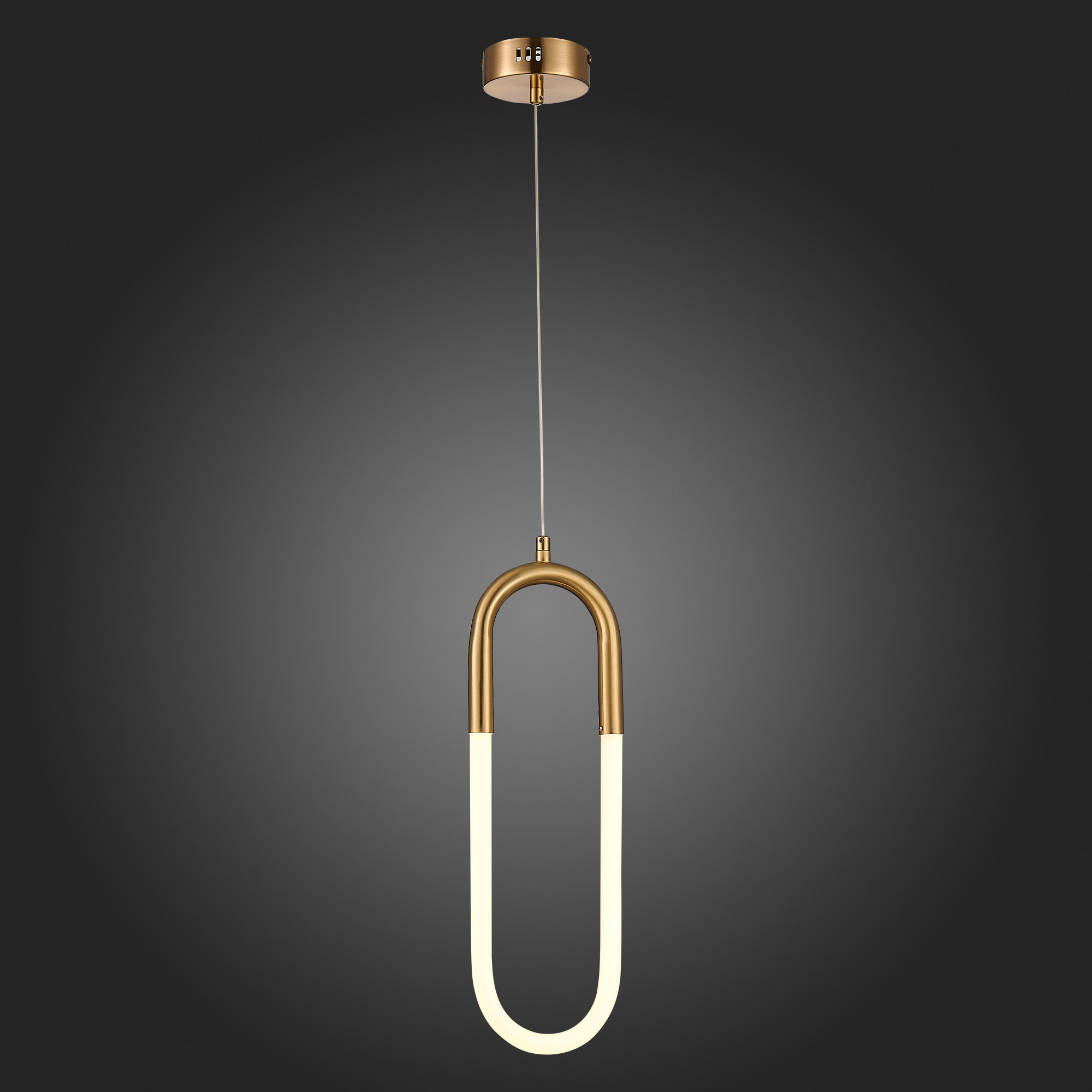 картинка Подвесной светодиодный светильник ST Luce Mofisto SL1579.303.01 от магазина pro-decor.kz