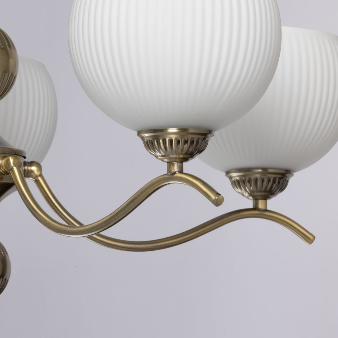картинка 347019705 MW-light Фелиция Люстра магазин pro-decor.kz являющийся официальным дистрибьютором в Казахстане картинка 347019705 MW-light Фелиция Люстра от магазина pro-decor.kz