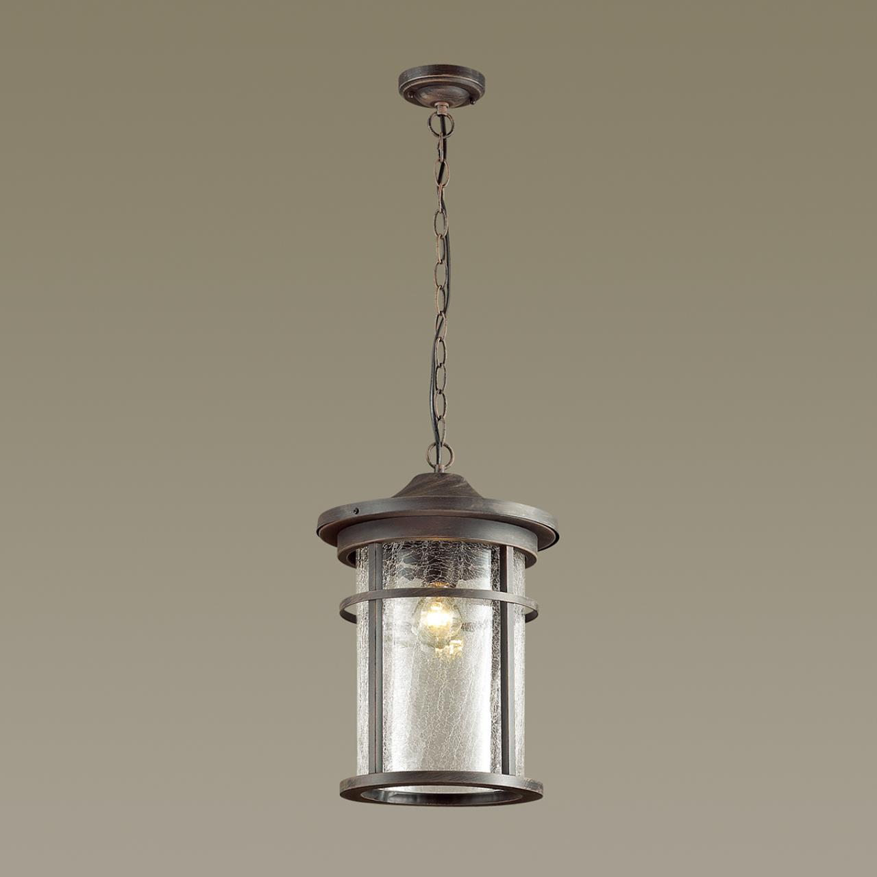 картинка Уличный подвесной светильник Odeon Light Nature Virta 4044/1 от магазина pro-decor.kz