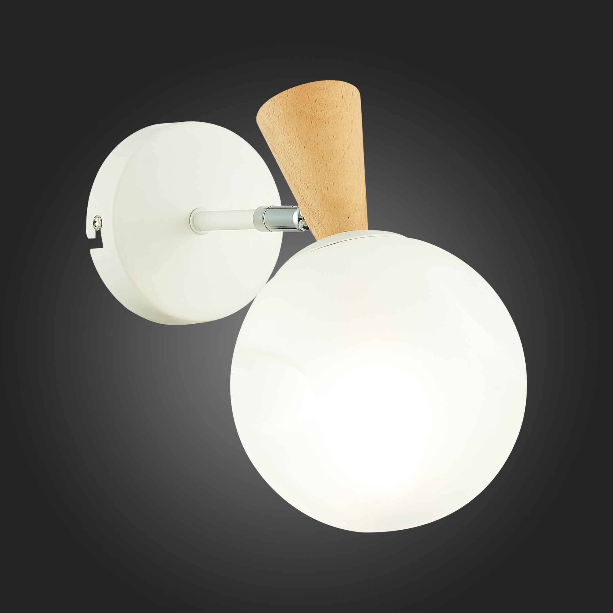 картинка Настенный светильник Evoluce Catania SLE220701-01 от магазина pro-decor.kz