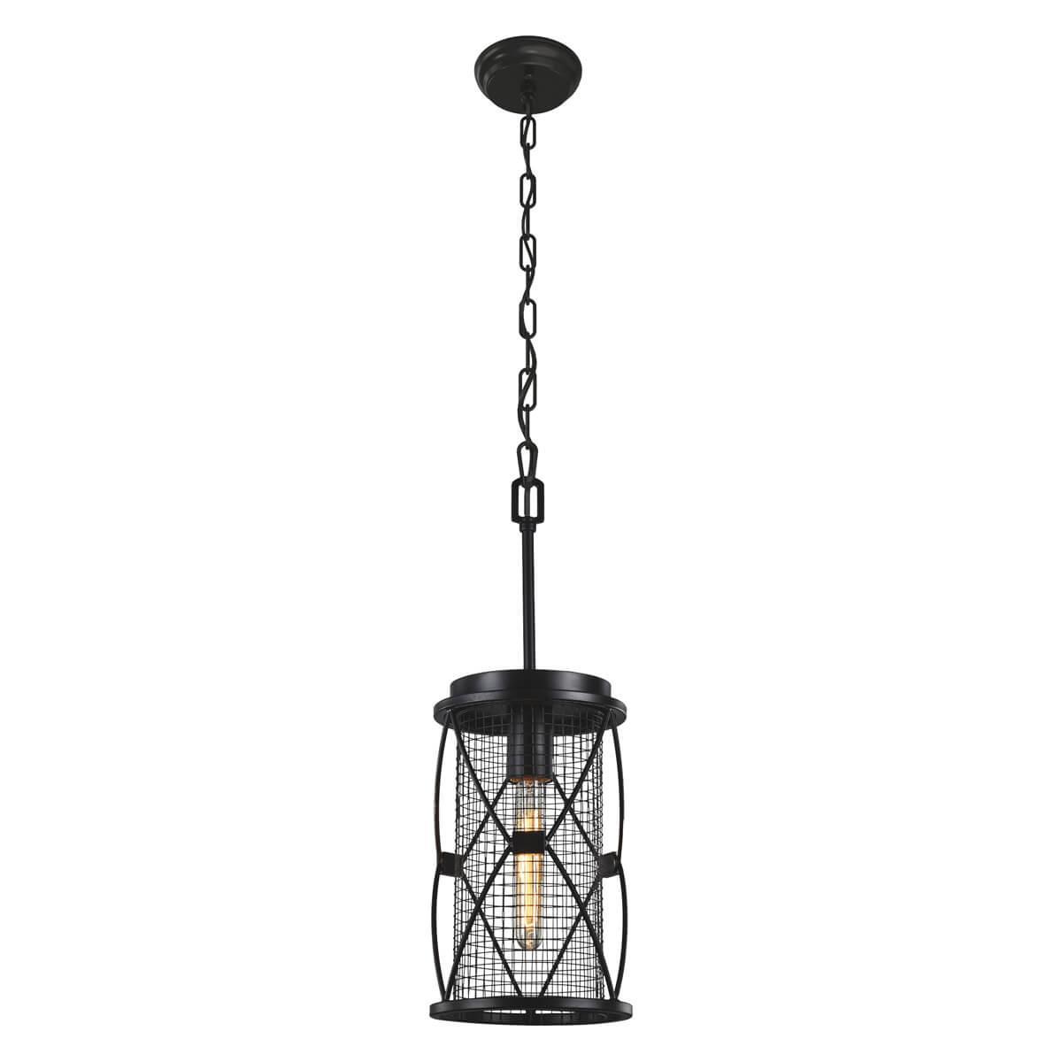 картинка Подвесной светильник Favourite Mesh 1783-1P от магазина pro-decor.kz