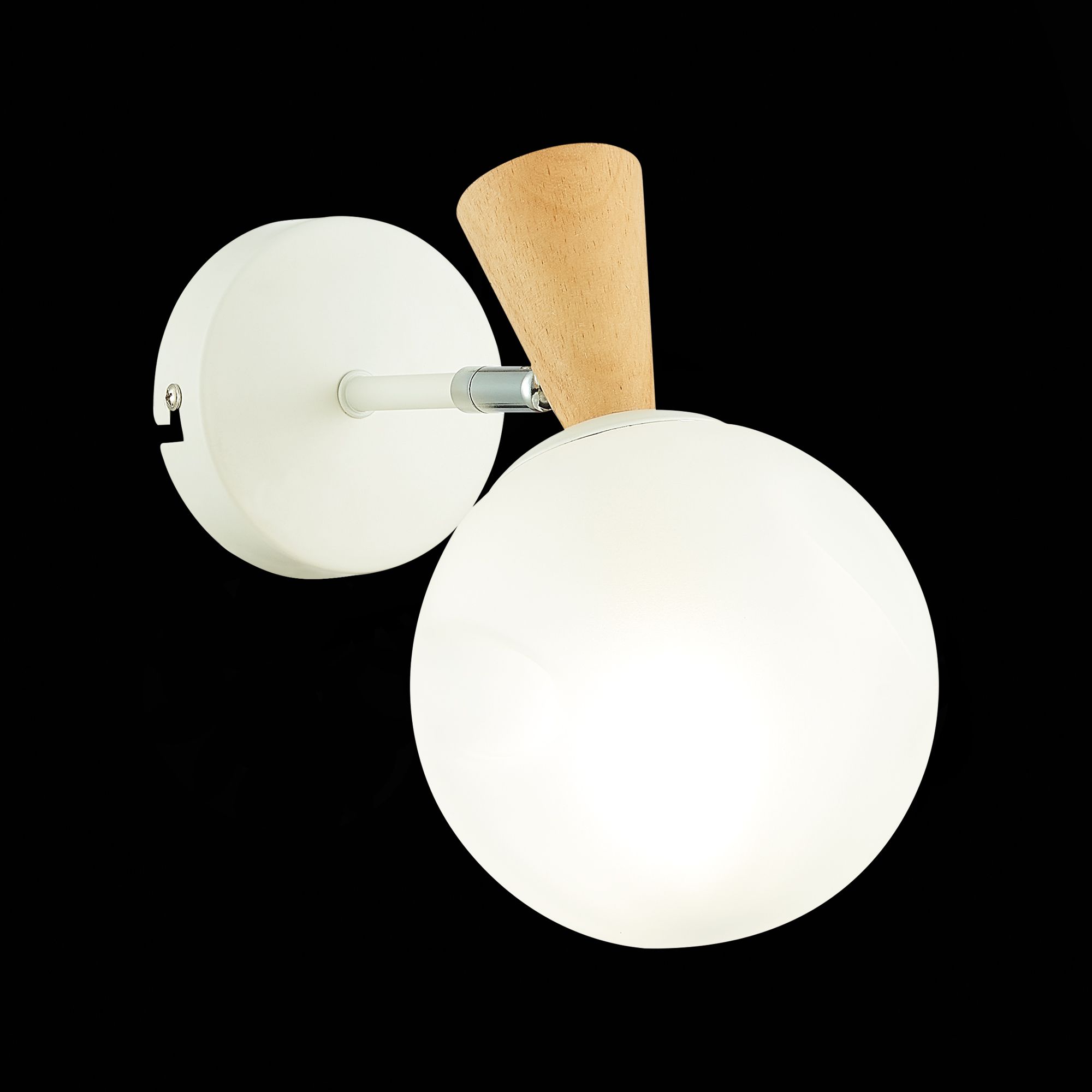 картинка Настенный светильник Evoluce Catania SLE220701-01 от магазина pro-decor.kz