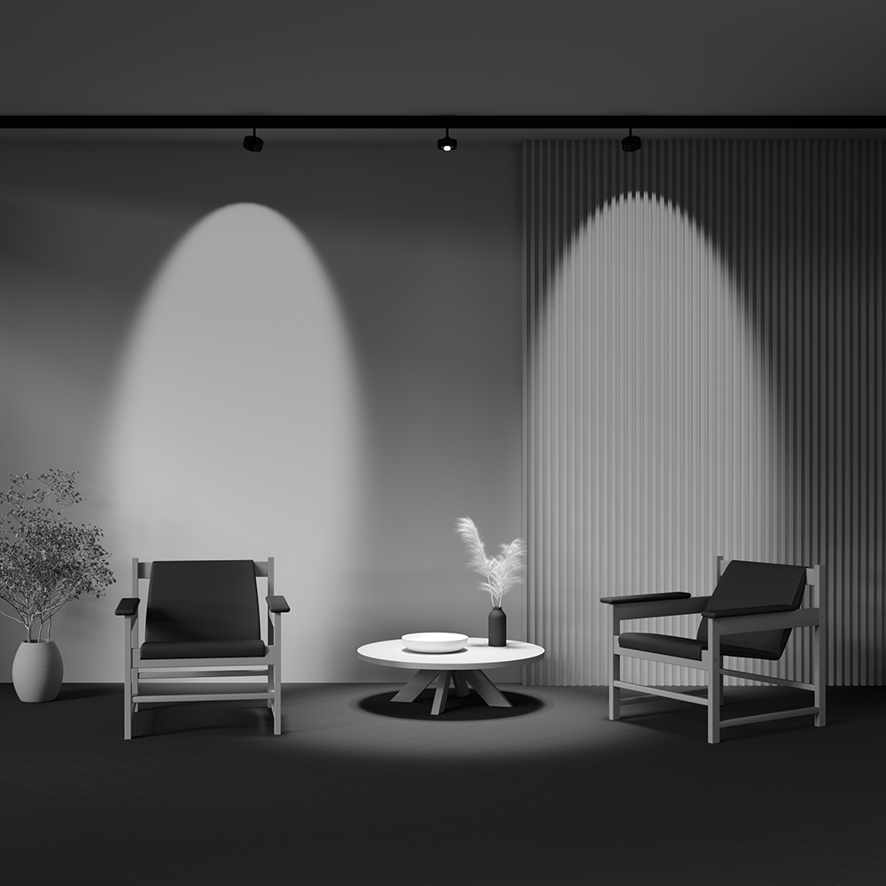 картинка Трековый светильник Technical TR217-2-15W4K-B от магазина pro-decor.kz