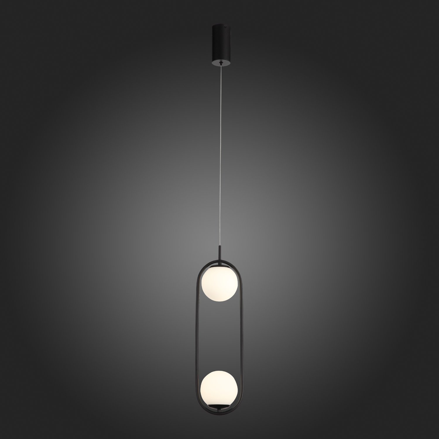 картинка Подвесной светодиодный светильник ST Luce SL395.403.02 от магазина pro-decor.kz