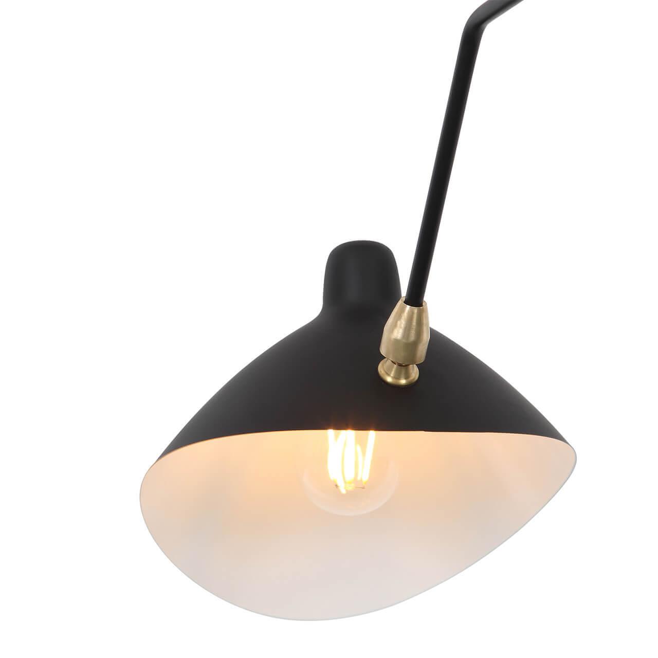 картинка Подвесная люстра ST Luce Spruzzo SL305.402.06 от магазина pro-decor.kz