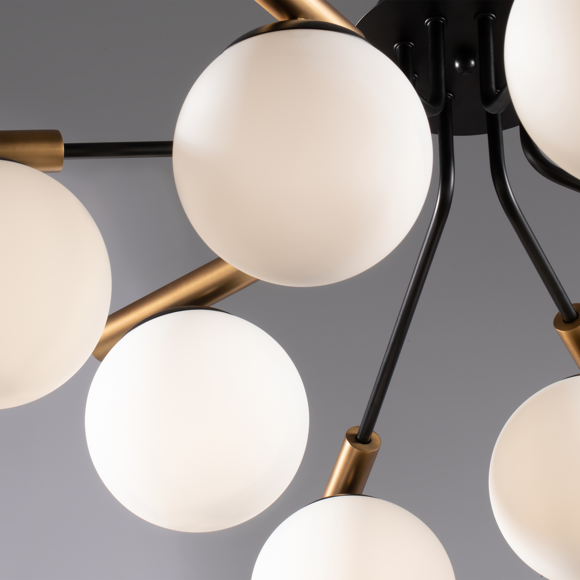 картинка Потолочная люстра Freya Paolina FR5011CL-08B магазин pro-decor.kz являющийся официальным дистрибьютором в Казахстане картинка Потолочная люстра Freya Paolina FR5011CL-08B от магазина pro-decor.kz