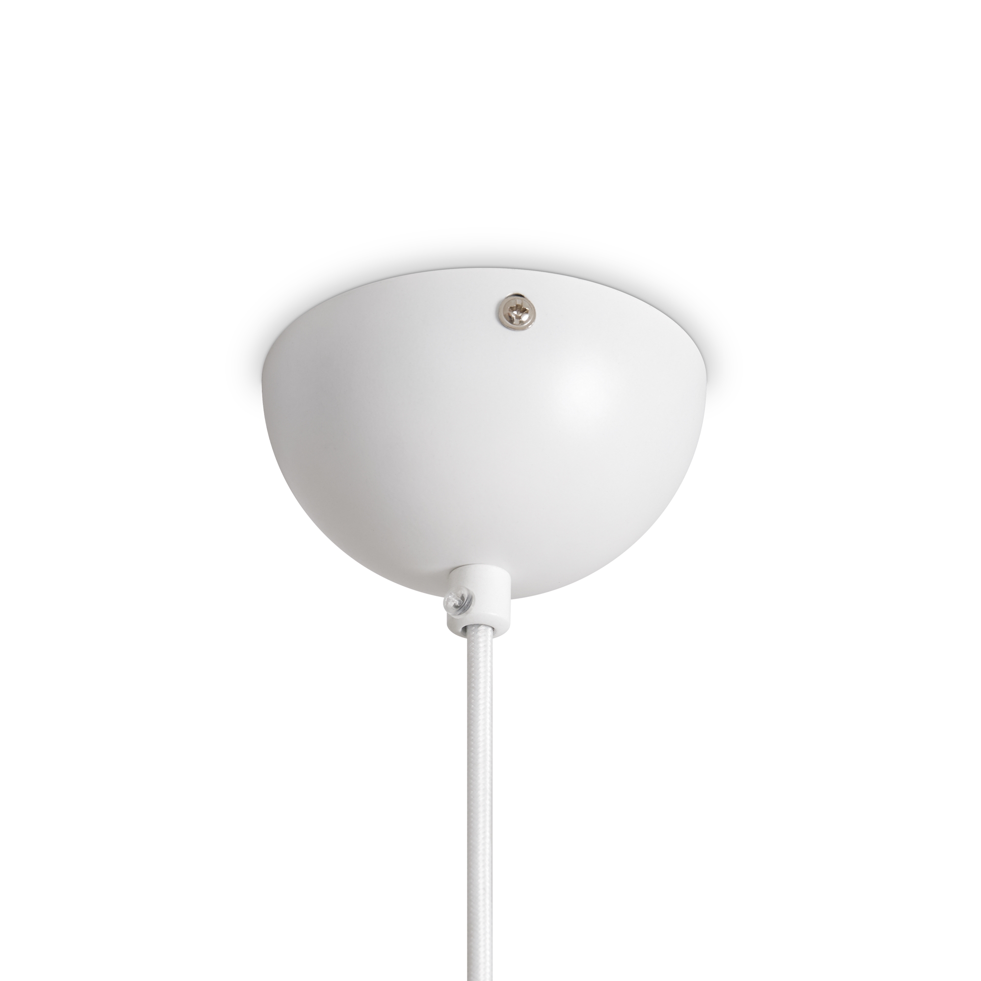 картинка Подвесной светильник Freya FR5509PL-01W Alies магазин pro-decor.kz являющийся официальным дистрибьютором в Казахстане картинка Подвесной светильник Freya FR5509PL-01W Alies от магазина pro-decor.kz