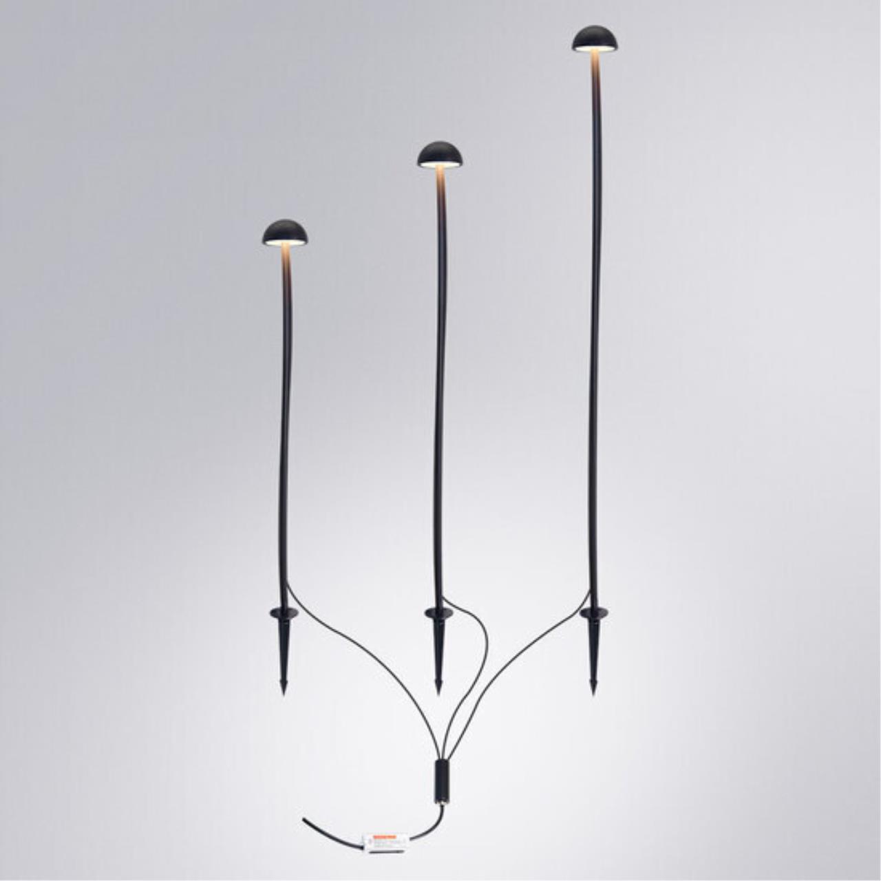 картинка Грунтовый светильник Arte Lamp MOTUS A1081PA-3BK от магазина pro-decor.kz