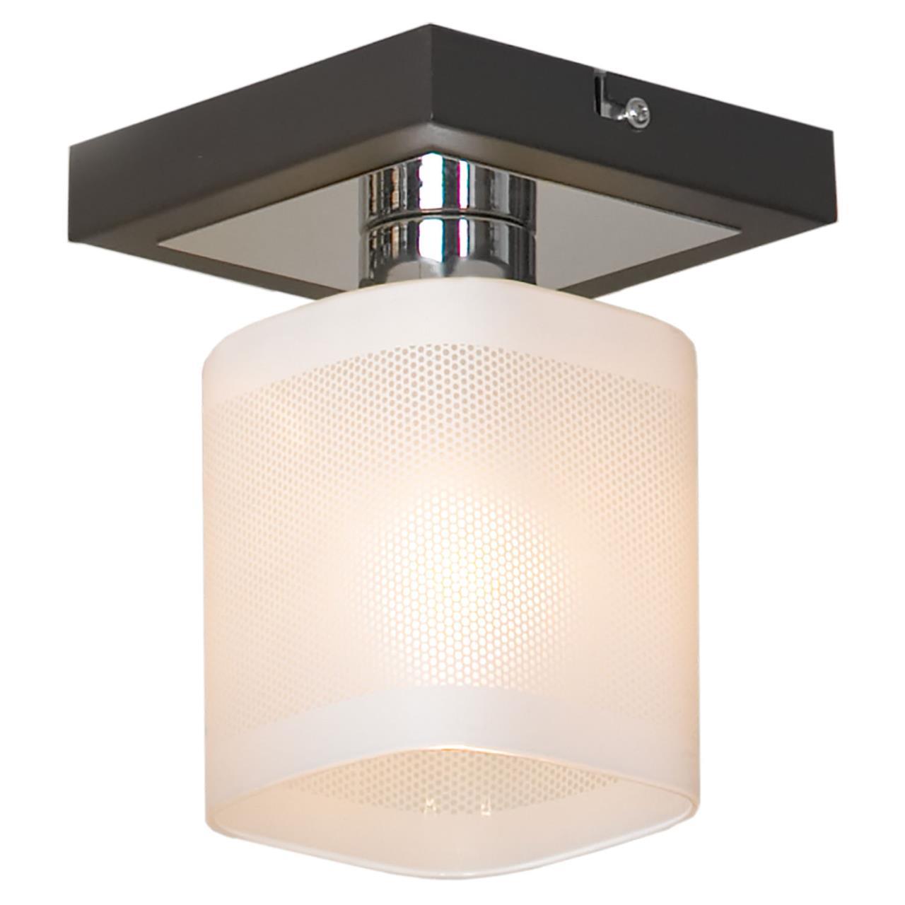 картинка Потолочный светильник Lussole Costanzo LSL-9007-01 от магазина pro-decor.kz