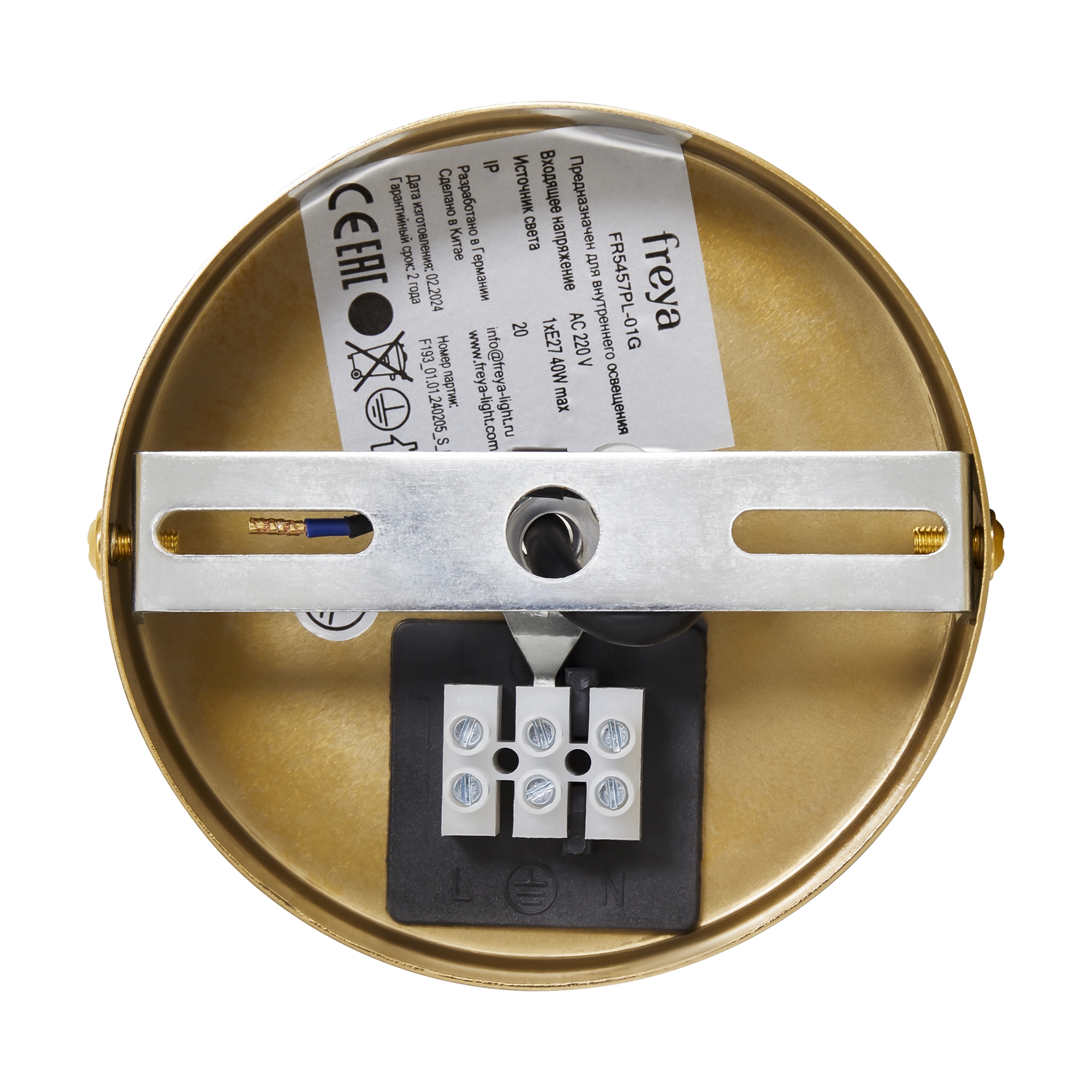 картинка Подвесной светильник Freya FR5457PL-01G магазин pro-decor.kz являющийся официальным дистрибьютором в Казахстане картинка Подвесной светильник Freya FR5457PL-01G от магазина pro-decor.kz