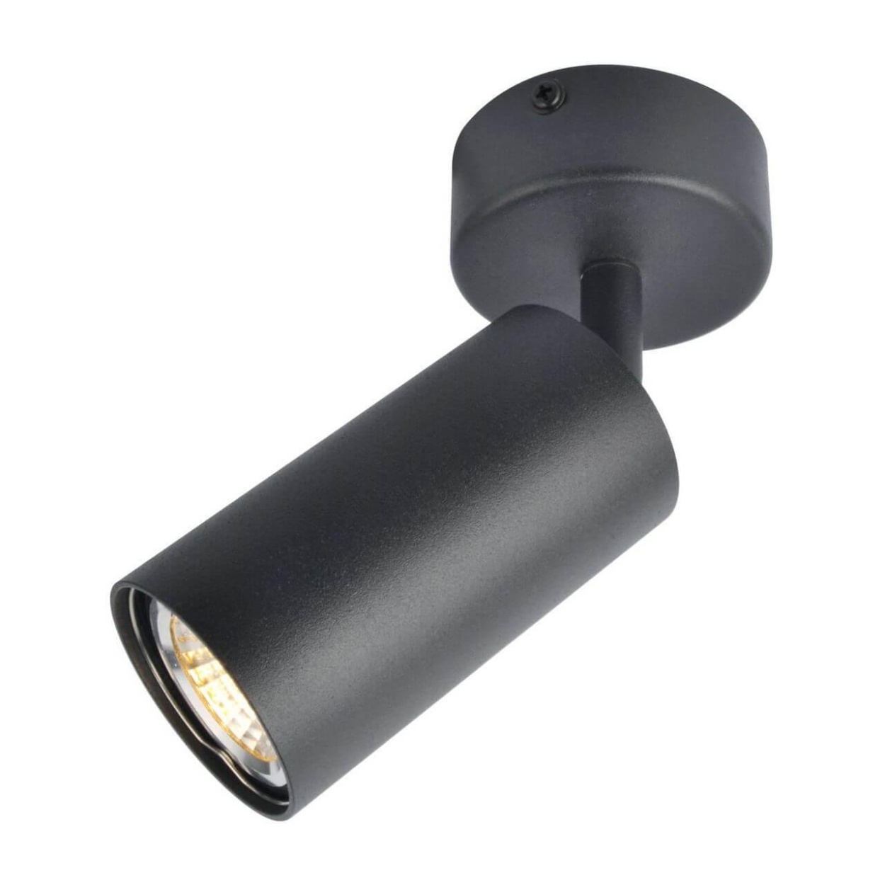 картинка Спот Arte Lamp A3216PL-1BK от магазина pro-decor.kz