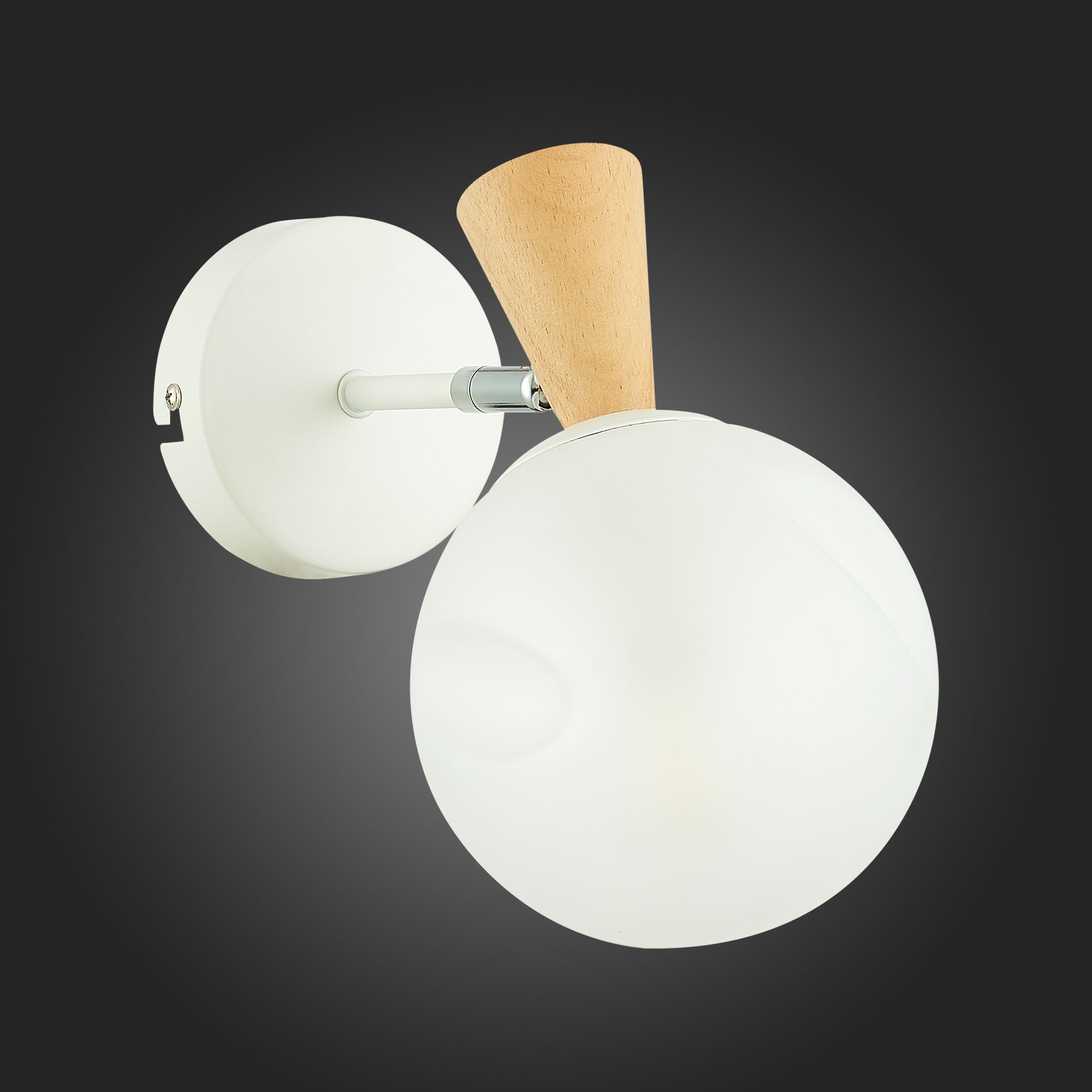 картинка Настенный светильник Evoluce Catania SLE220701-01 от магазина pro-decor.kz