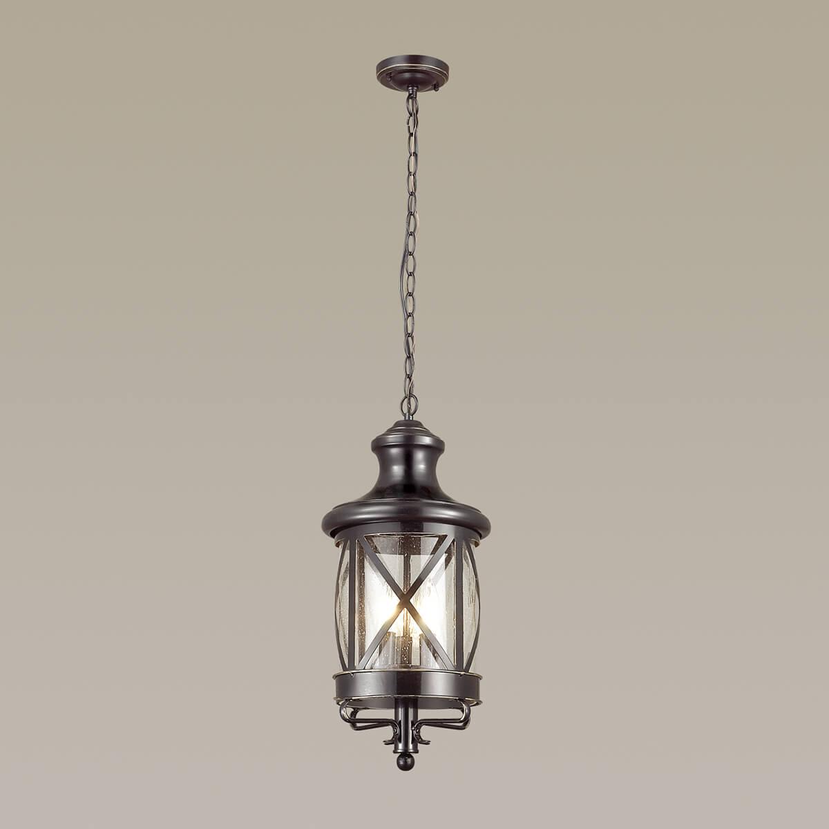 картинка Уличный подвесной светильник Odeon Light Nature Sation 4045/3 от магазина pro-decor.kz